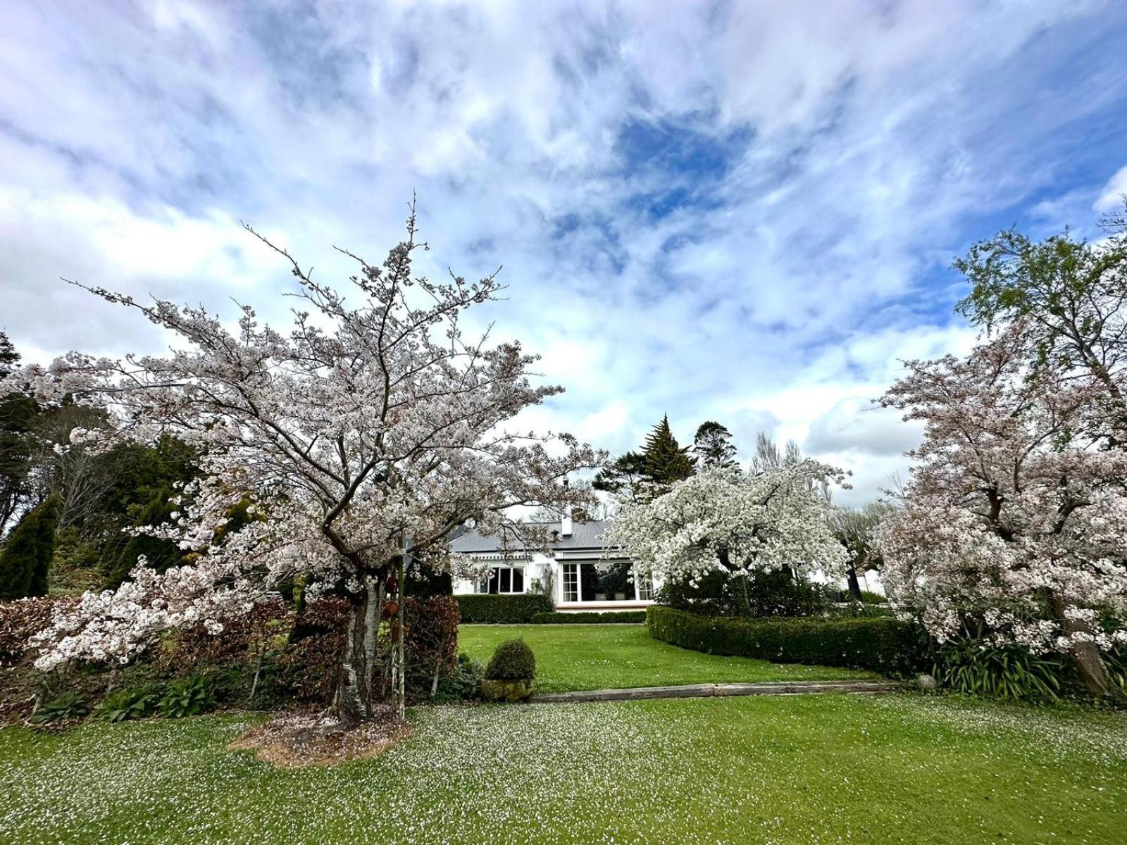 Bed and Breakfast Whiteacres Invercargill Esterno foto